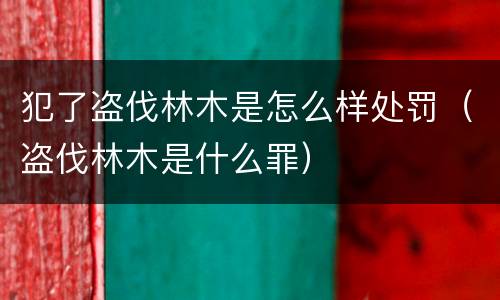 犯了盗伐林木是怎么样处罚（盗伐林木是什么罪）