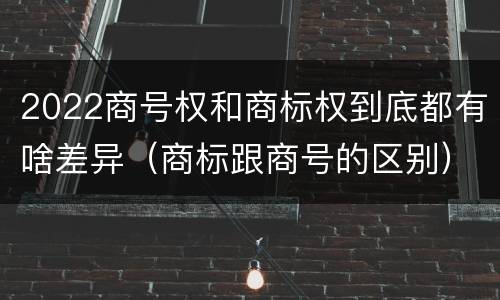 2022商号权和商标权到底都有啥差异（商标跟商号的区别）