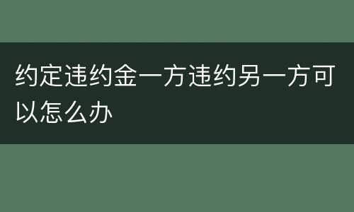 约定违约金一方违约另一方可以怎么办