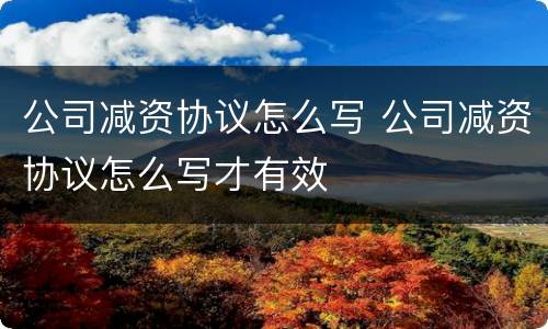 公司减资协议怎么写 公司减资协议怎么写才有效