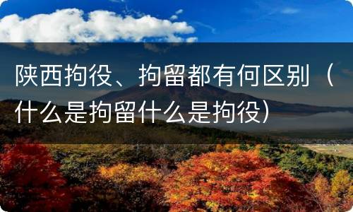 陕西拘役、拘留都有何区别（什么是拘留什么是拘役）