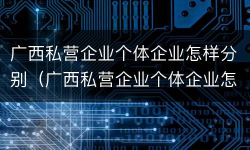 广西私营企业个体企业怎样分别（广西私营企业个体企业怎样分别交社保）
