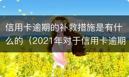 信用卡逾期的补救措施是有什么的（2021年对于信用卡逾期的处理）