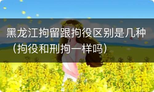 黑龙江拘留跟拘役区别是几种（拘役和刑拘一样吗）