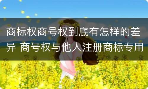 商标权商号权到底有怎样的差异 商号权与他人注册商标专用权的冲突