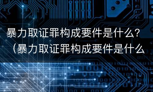 暴力取证罪构成要件是什么？（暴力取证罪构成要件是什么意思）
