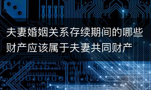 夫妻婚姻关系存续期间的哪些财产应该属于夫妻共同财产