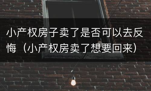 小产权房子卖了是否可以去反悔（小产权房卖了想要回来）