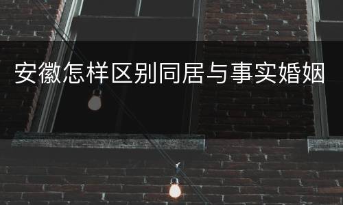 安徽怎样区别同居与事实婚姻
