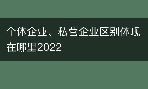 个体企业、私营企业区别体现在哪里2022