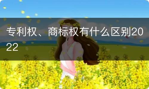 专利权、商标权有什么区别2022