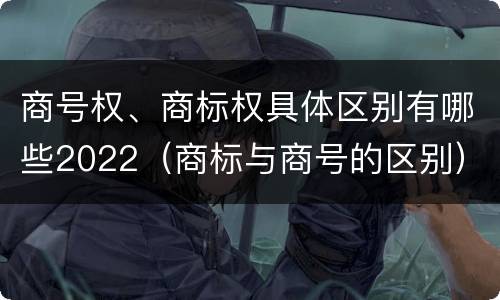 商号权、商标权具体区别有哪些2022（商标与商号的区别）