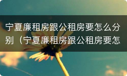 宁夏廉租房跟公租房要怎么分别（宁夏廉租房跟公租房要怎么分别呢）