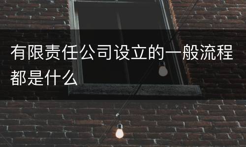 有限责任公司设立的一般流程都是什么
