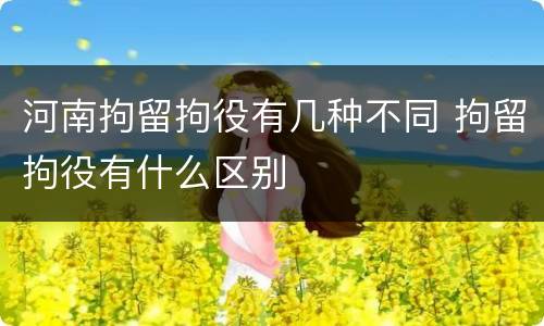 河南拘留拘役有几种不同 拘留拘役有什么区别