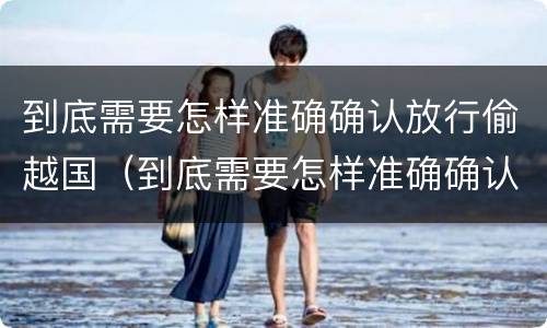 到底需要怎样准确确认放行偷越国（到底需要怎样准确确认放行偷越国货币）