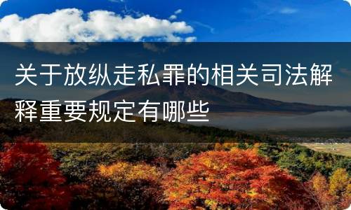 关于放纵走私罪的相关司法解释重要规定有哪些