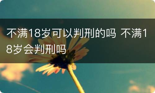 不满18岁可以判刑的吗 不满18岁会判刑吗