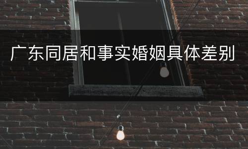 广东同居和事实婚姻具体差别