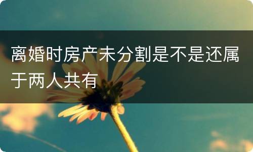 离婚时房产未分割是不是还属于两人共有