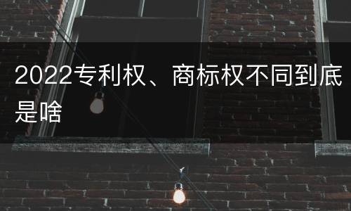 2022专利权、商标权不同到底是啥