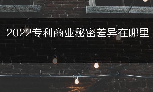 2022专利商业秘密差异在哪里
