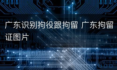 广东识别拘役跟拘留 广东拘留证图片