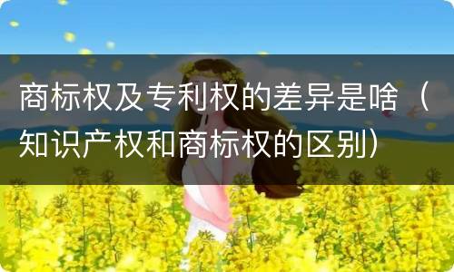 商标权及专利权的差异是啥（知识产权和商标权的区别）