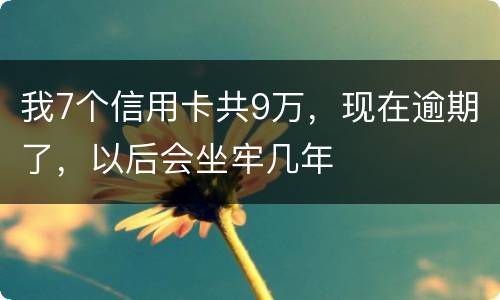 我7个信用卡共9万，现在逾期了，以后会坐牢几年