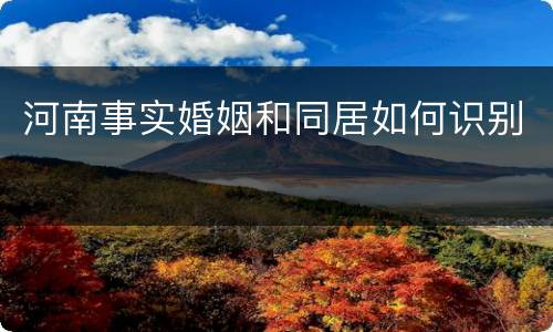 河南事实婚姻和同居如何识别