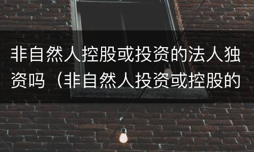 非自然人控股或投资的法人独资吗（非自然人投资或控股的法人独资属于什么控股）
