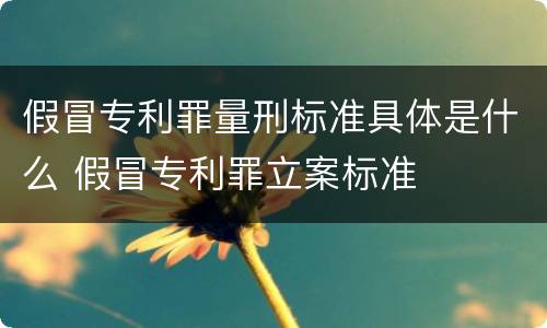 假冒专利罪量刑标准具体是什么 假冒专利罪立案标准