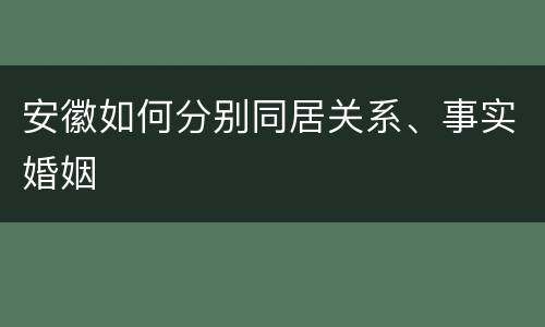 安徽如何分别同居关系、事实婚姻