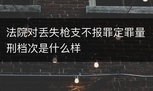 法院对丢失枪支不报罪定罪量刑档次是什么样