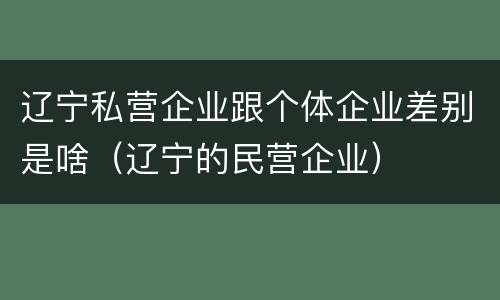辽宁私营企业跟个体企业差别是啥（辽宁的民营企业）