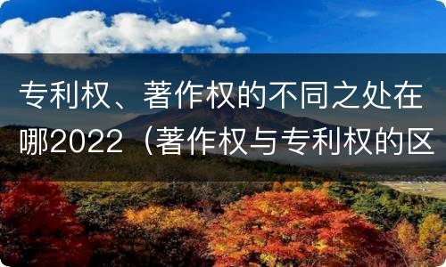 专利权、著作权的不同之处在哪2022（著作权与专利权的区别和联系）