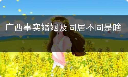 广西事实婚姻及同居不同是啥