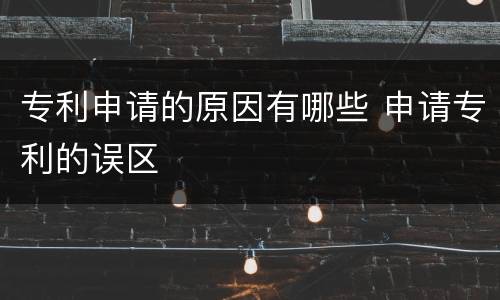 专利申请的原因有哪些 申请专利的误区
