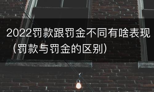 2022罚款跟罚金不同有啥表现（罚款与罚金的区别）