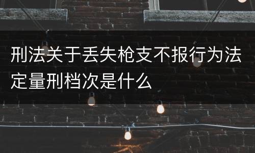 刑法关于丢失枪支不报行为法定量刑档次是什么