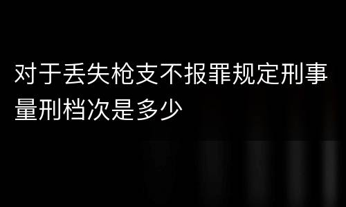 对于丢失枪支不报罪规定刑事量刑档次是多少