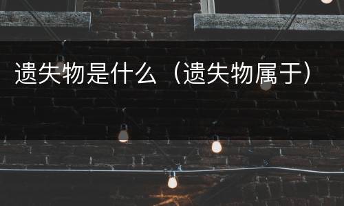 遗失物是什么（遗失物属于）