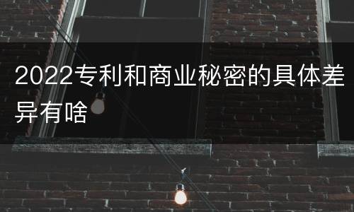 2022专利和商业秘密的具体差异有啥