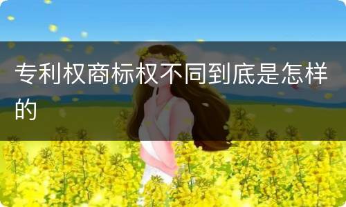 专利权商标权不同到底是怎样的