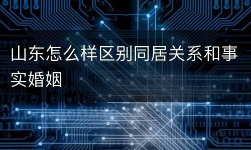 山东怎么样区别同居关系和事实婚姻