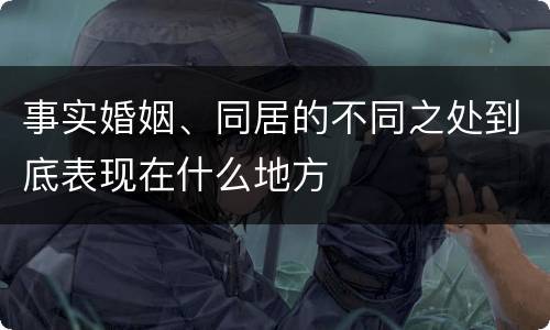 事实婚姻、同居的不同之处到底表现在什么地方