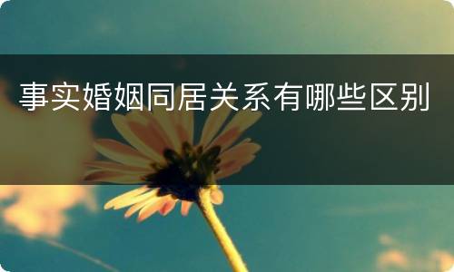 事实婚姻同居关系有哪些区别