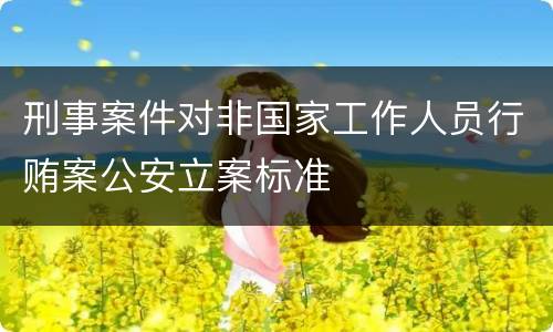 刑事案件对非国家工作人员行贿案公安立案标准