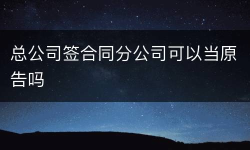 总公司签合同分公司可以当原告吗