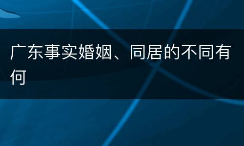 广东事实婚姻、同居的不同有何